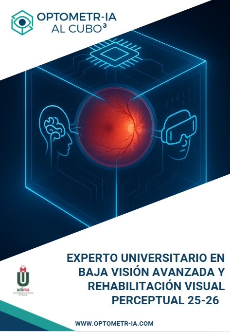 Dossier Experto Universitario en Baja Visión Avanzada y Rehabilitación Visual Perceptual