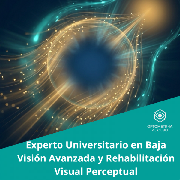 Experto Universitario en Baja Visión Avanzada y Rehabilitación Visual Perceptual