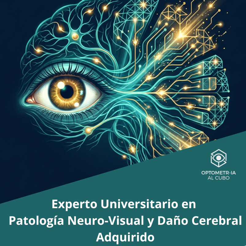 Experto Universitario en Patología Neuro-Visual y Daño Cerebral Adquirido